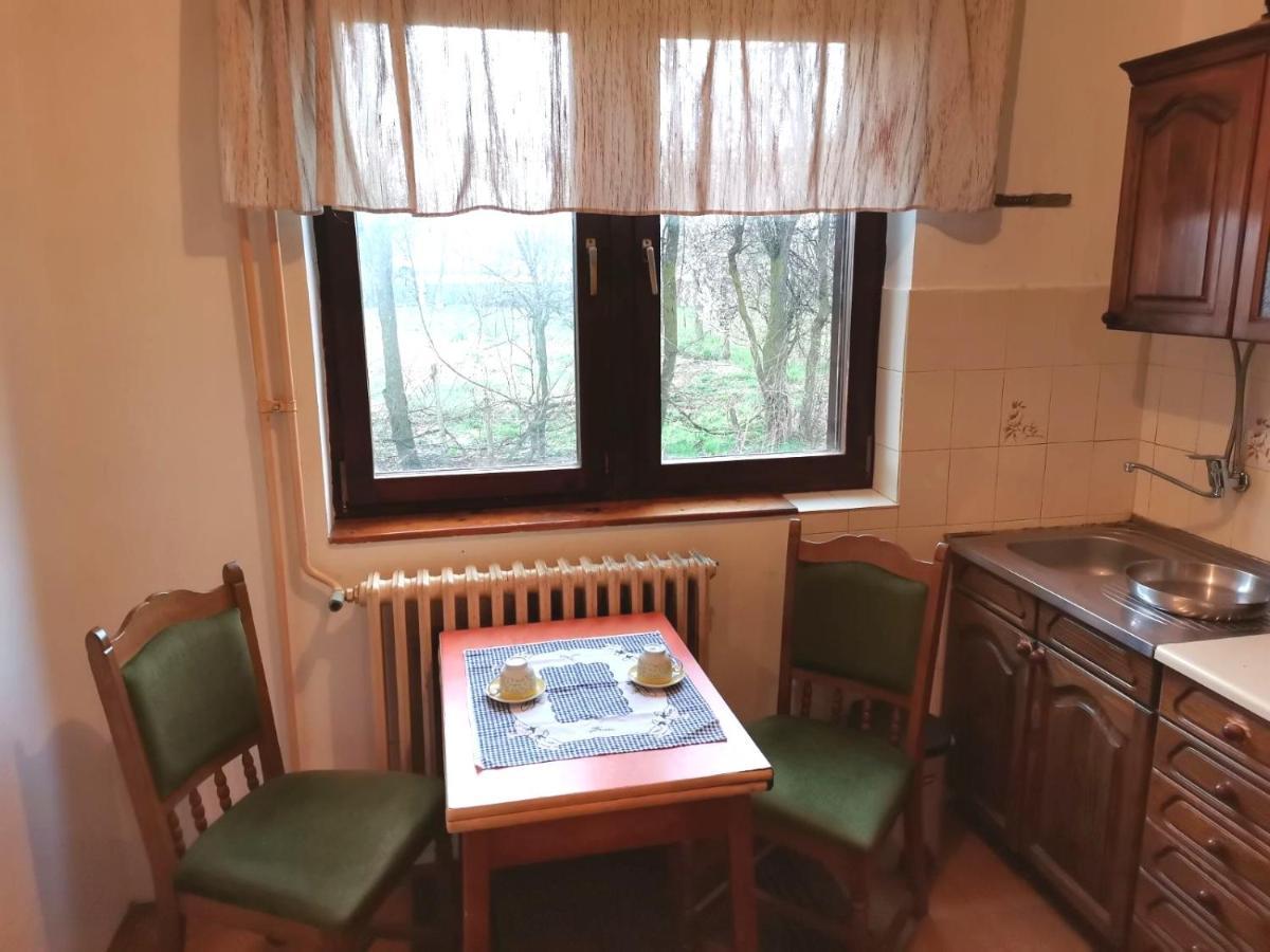 Vila Milica Kraljevo Exterior foto